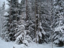 Прекрасное место для отдыха!