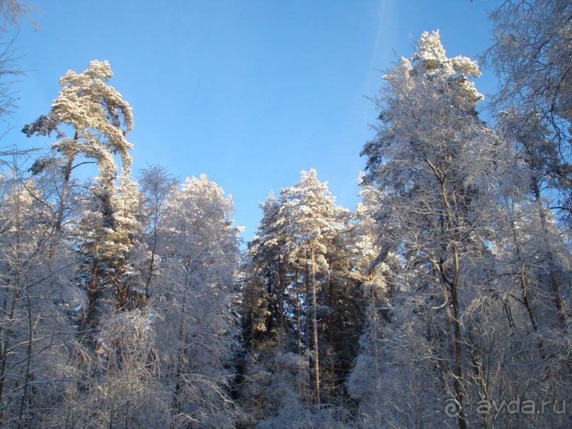 фото Красное озеро