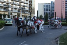 фото Fiesta M Hotel