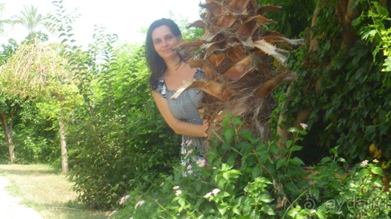 фото Elite Life Hotel