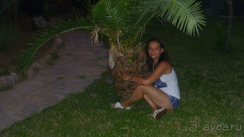 фото Elite Life Hotel