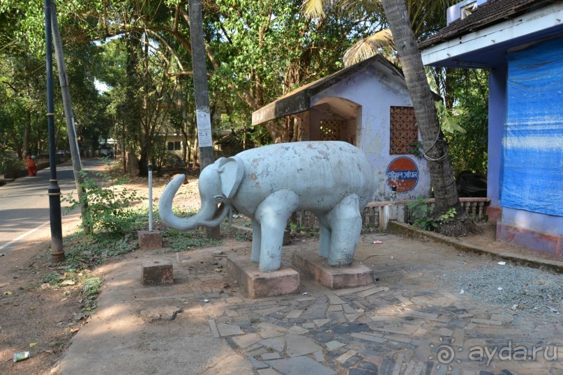 Гоа, или 10 дней на байке!