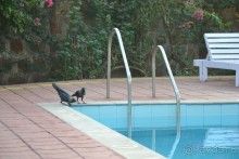 Гоа, или 10 дней на байке!