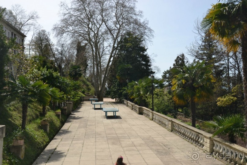 Мой Сочи! Не Олимпийский!