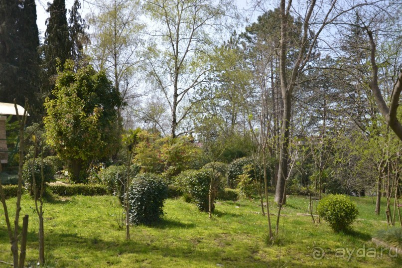 Мой Сочи! Не Олимпийский!