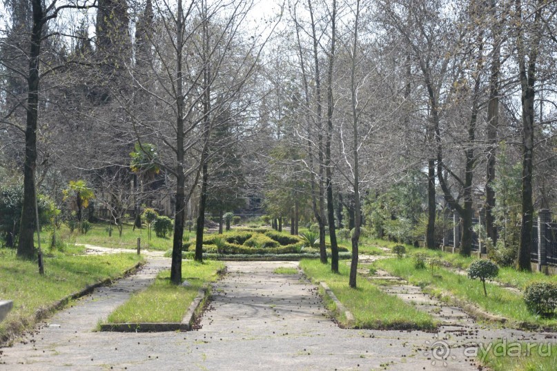 Мой Сочи! Не Олимпийский!