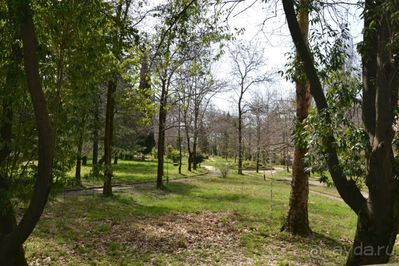 Мой Сочи! Не Олимпийский!