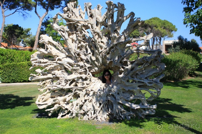 фото Ela Excellence Resort Belek