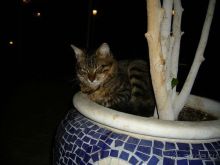 хозяева отеля