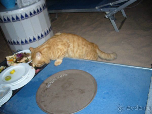 хозяева сьедают остатки после вечерних программ в ресторанах