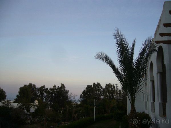 вид с 61 корпуса