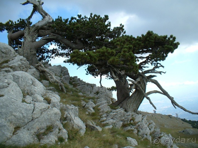 Альбом отзыва "Малые города Италии."