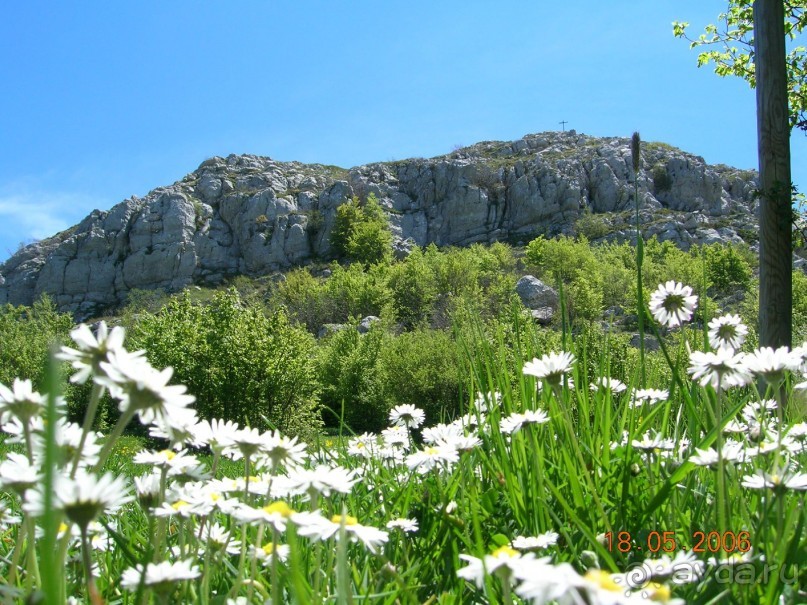 Альбом отзыва "Новый взгляд на любимую страну."