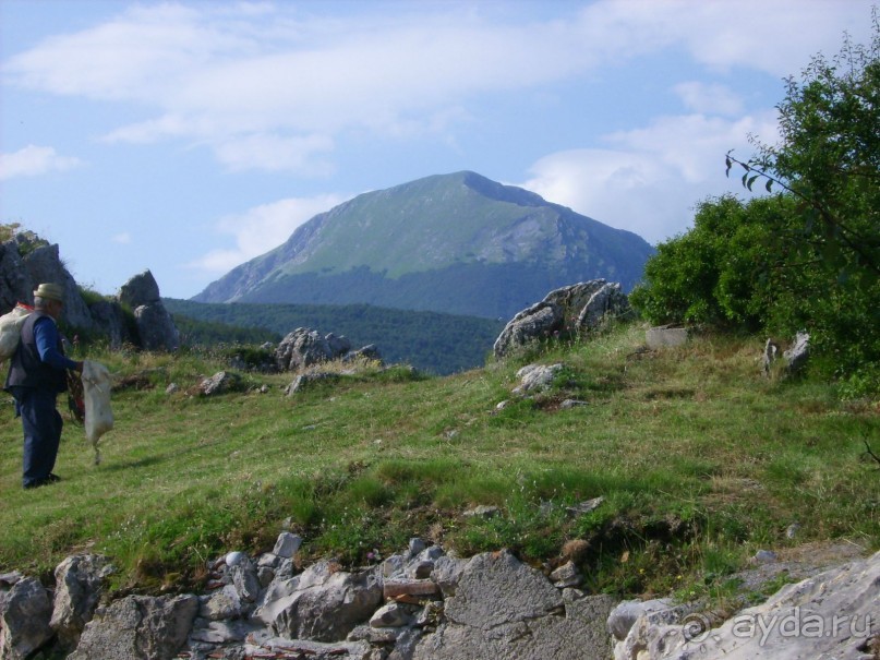 Альбом отзыва "Новый взгляд на любимую страну."