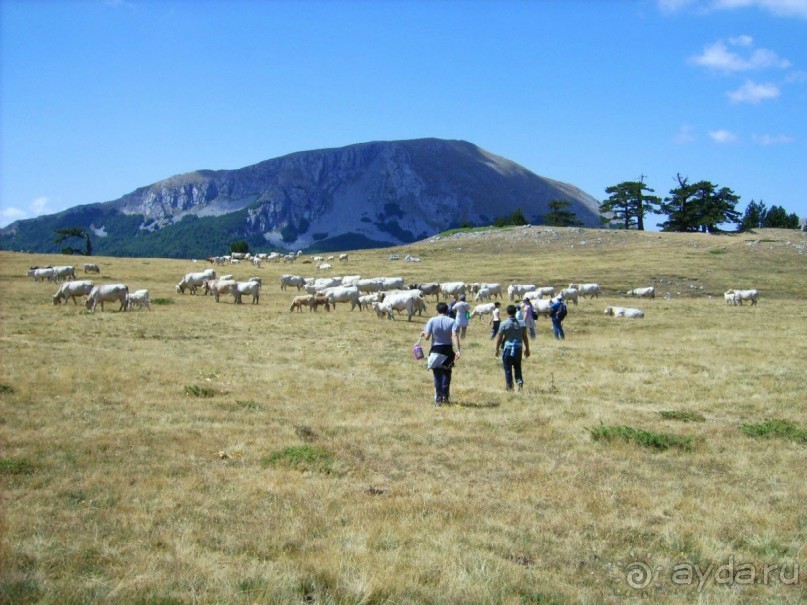 Альбом отзыва "Новый взгляд на любимую страну."