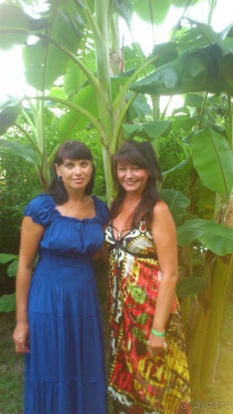 неплохой отель.понравился отдых..много впечатлений