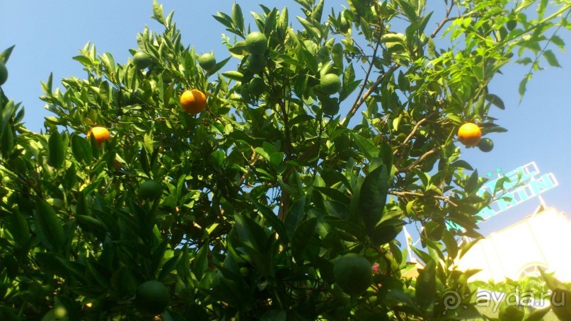 неплохой отель.понравился отдых..много впечатлений