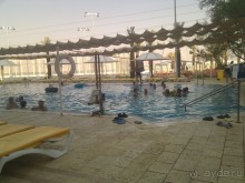 фото Зорница