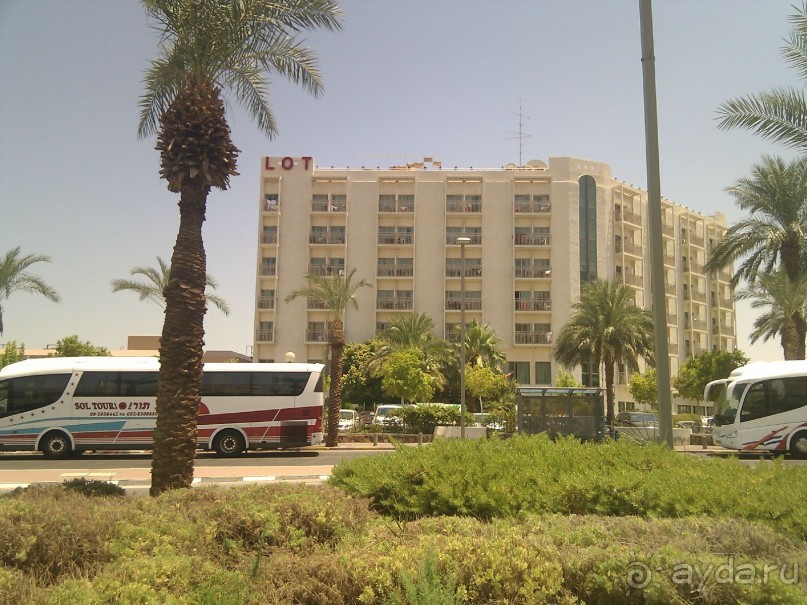 фото Зорница