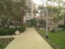 фото Зорница