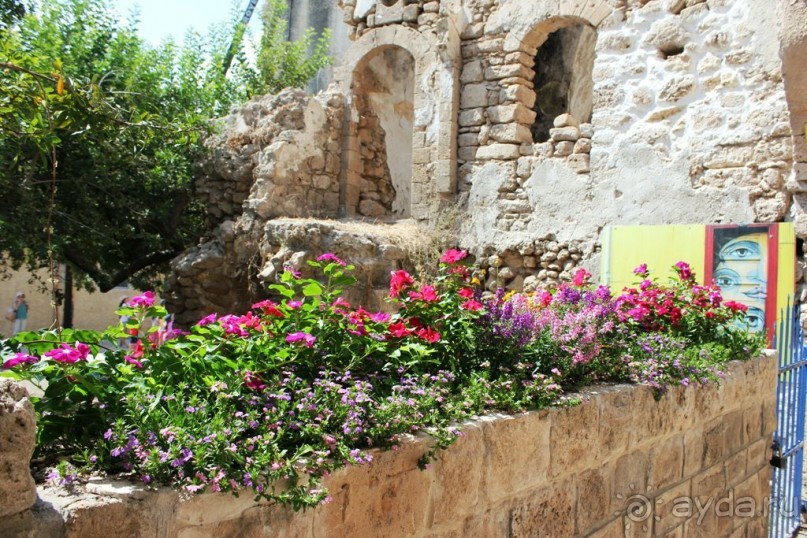 Сафари-парк в Рамат-Гане 