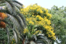 Сафари-парк в Рамат-Гане 