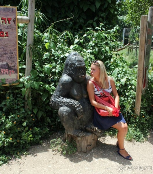 Сафари-парк в Рамат-Гане 