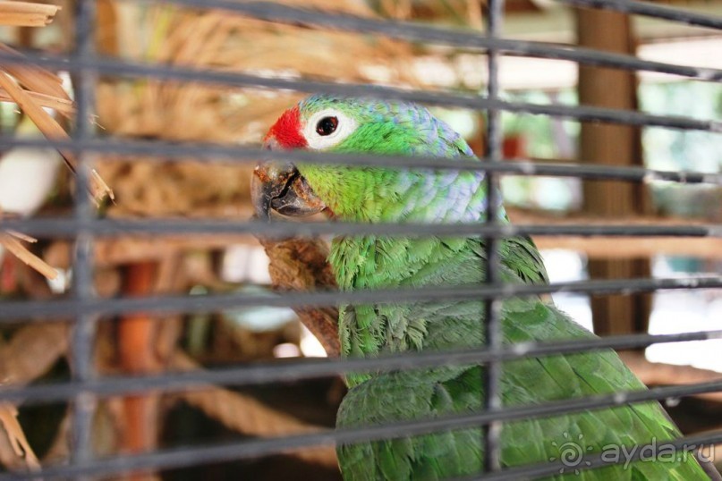 Сафари-парк в Рамат-Гане 