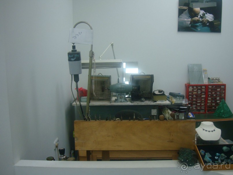 Знакомство с Эйлатом, или Обзорная поездка полезна для туриста