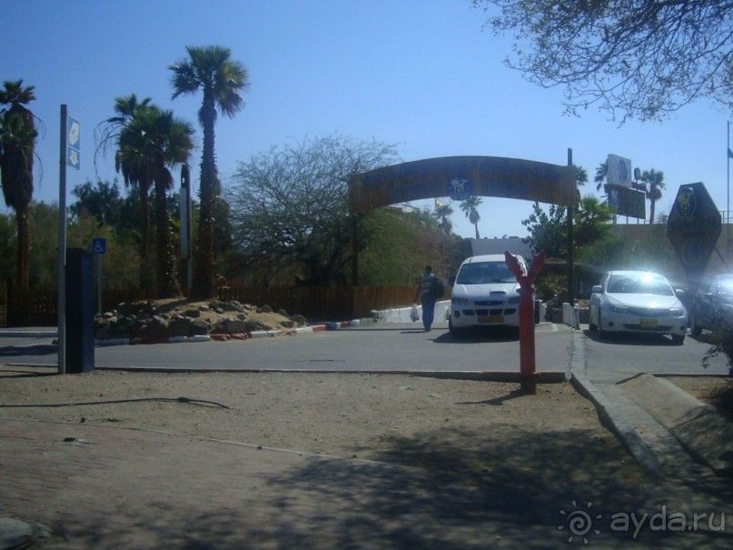 Знакомство с Эйлатом, или Обзорная поездка полезна для туриста