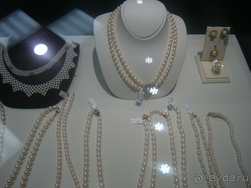 Знакомство с Эйлатом, или Обзорная поездка полезна для туриста