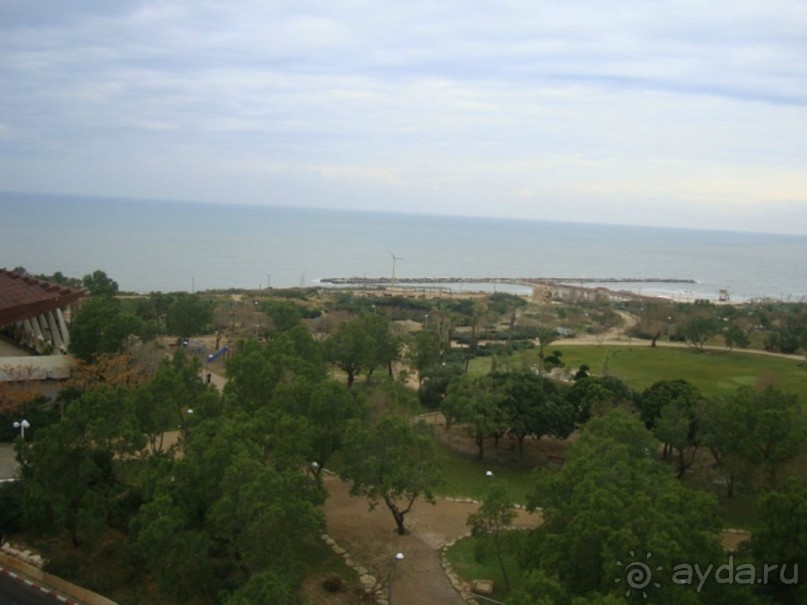 фото Магреница