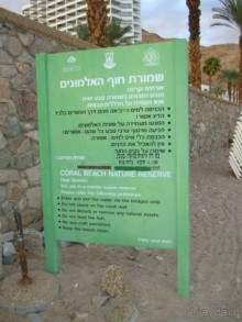 Пляж перед отелем PRINCESS (Эйлат, коралловый берег)