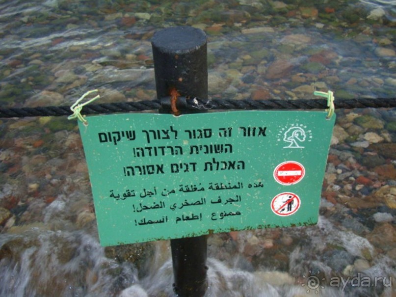 Пляж перед отелем PRINCESS (Эйлат, коралловый берег)