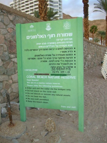 Пляж перед отелем PRINCESS (Эйлат, коралловый берег)