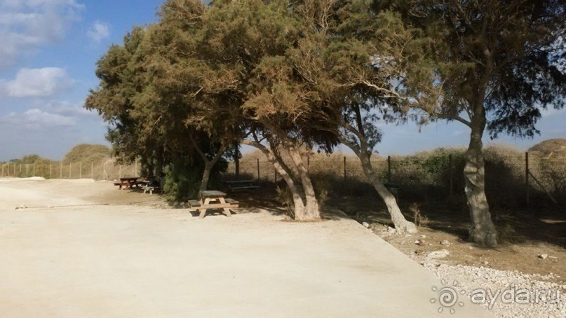 Самостоятельная поездка в Арсуф (археологический парк Аполлония)