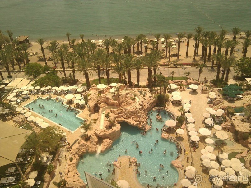 фото Dan Eilat