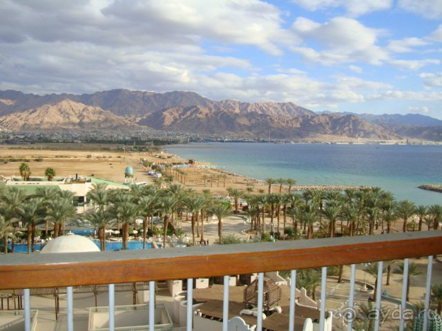 фото Dan Eilat