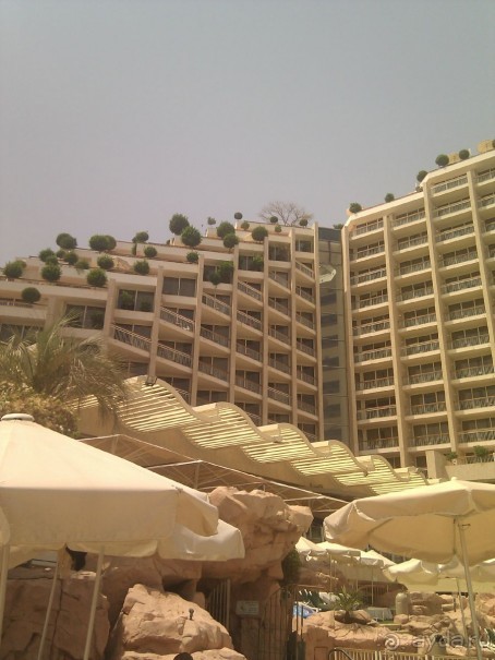 фото Dan Eilat