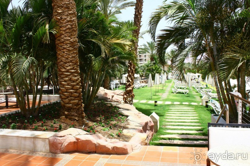 Isrotel Royal Beach 5* – большая и солидная гостиница прямо на берегу Красного моря. 