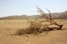 Как интересно провести время в Эйлате