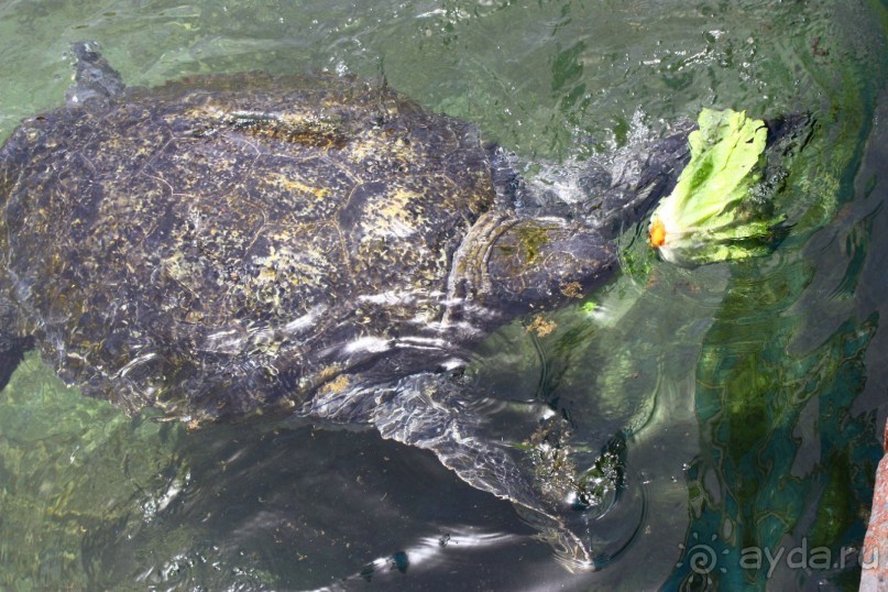 Как интересно провести время в Эйлате