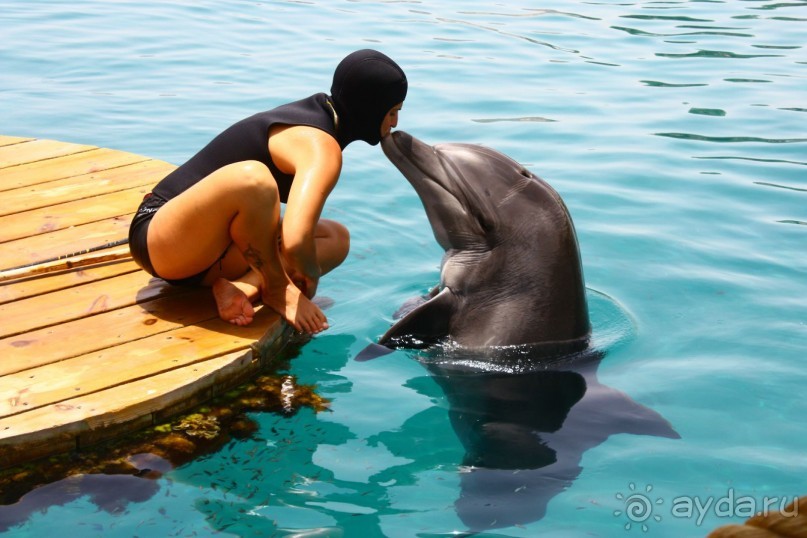 Как интересно провести время в Эйлате
