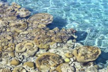 Как интересно провести время в Эйлате