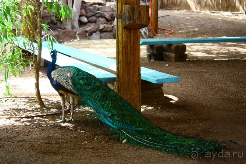 Как интересно провести время в Эйлате