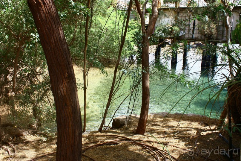 Как интересно провести время в Эйлате