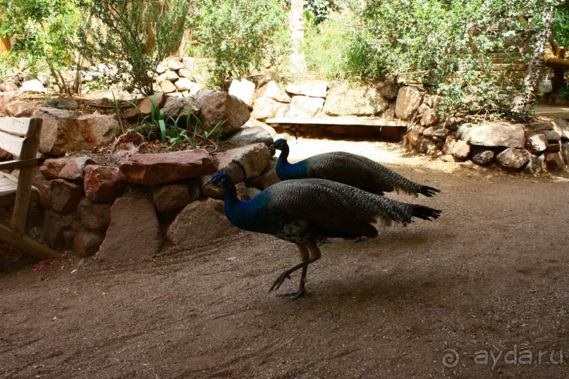 Как интересно провести время в Эйлате