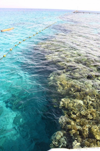 Как интересно провести время в Эйлате