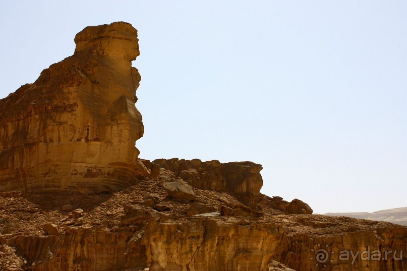 Как интересно провести время в Эйлате
