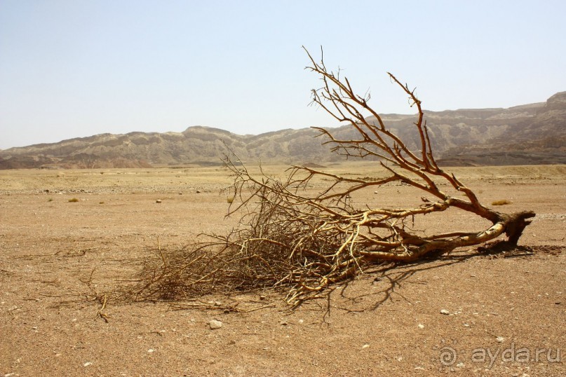 Как интересно провести время в Эйлате